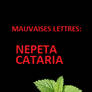 Mauvaises Lettres - Nepeta Cataria