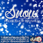 SNOW PS7 Brushes and IMG Pack by KeepWaiting