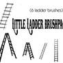 Little Ladder brushpack