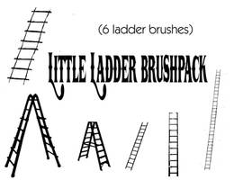 Little Ladder brushpack