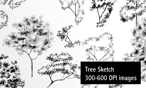 Sketch Trees - Low Res