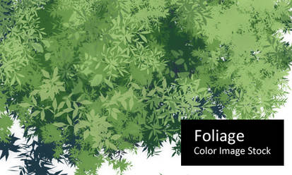 Foliage - Color Stock