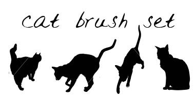 Cat brush Set