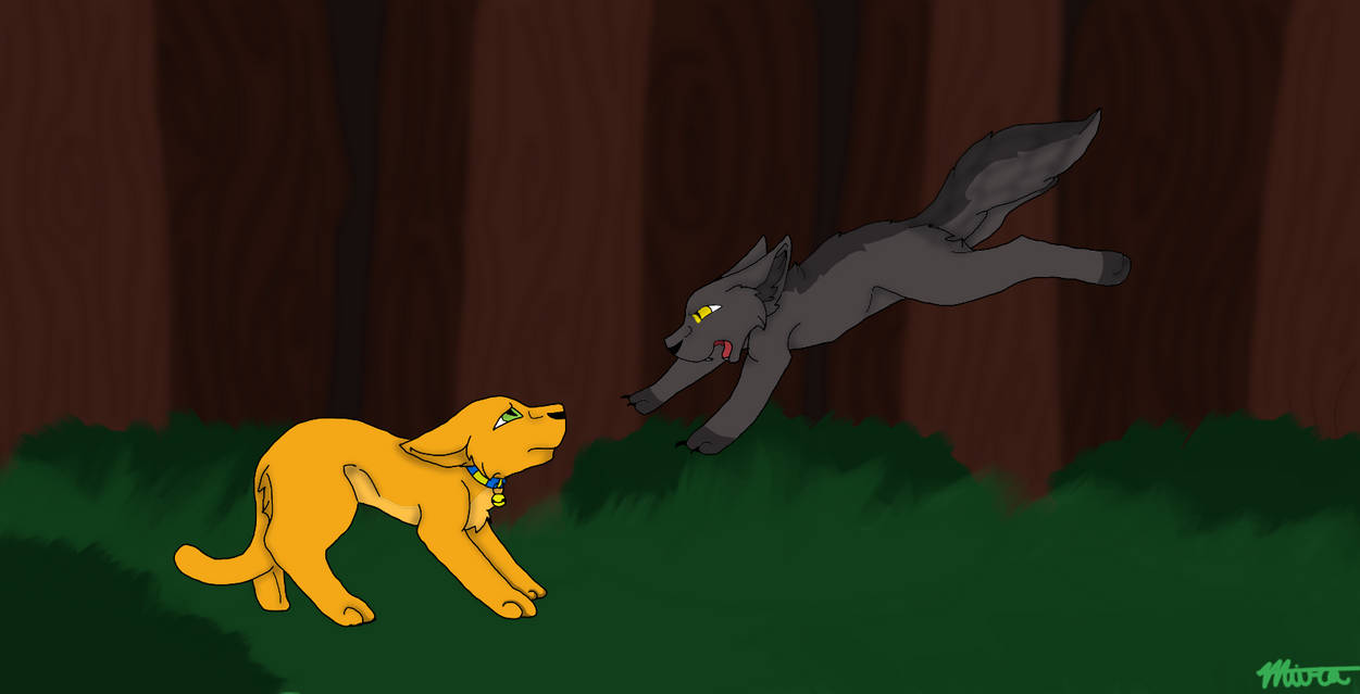 Warrior Cats Rusty Vs Graypaw By Akiraowo On Deviantart