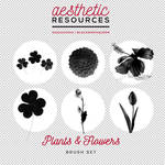 Plants and Flowers Brush Set