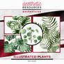 Illustrated Plants  [PNGs]