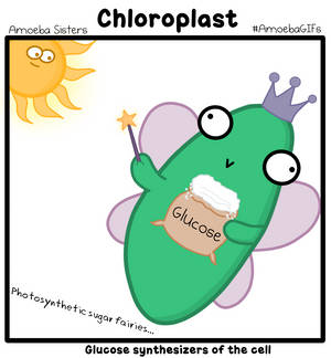 Explore the Best Chloroplast Art | DeviantArt