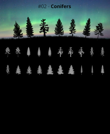 Tree Silhouettes vol.2 - Conifers