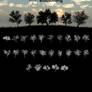 Tree Silhouettes vol.3 - Blossoming
