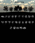 Tree Silhouettes vol.3 - Blossoming