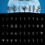 Tree Silhouettes vol.5 - Dead Trees 1