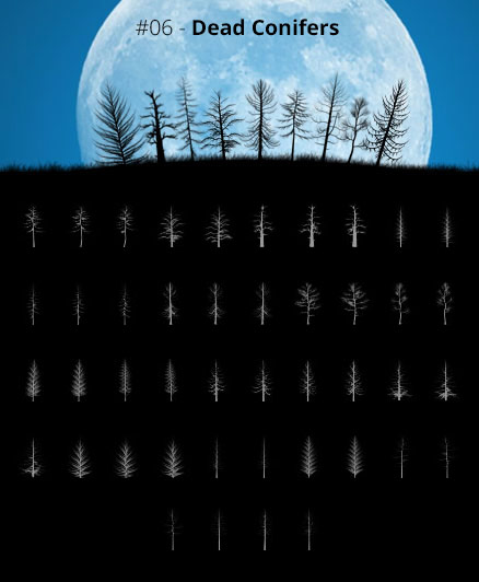 Tree Silhouettes vol.6 - Dead Conifers by Horhew