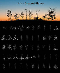 Tree Silhouettes vol.14 - Ground Plants