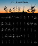 Tree Silhouettes vol.14 - Ground Plants
