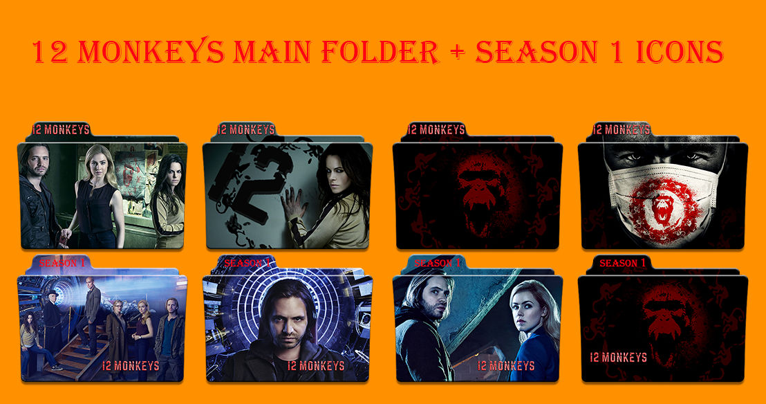 Main folder. 12 обезьян в ряд реальные обезьяны. Main folder. Main folder. Main folder.