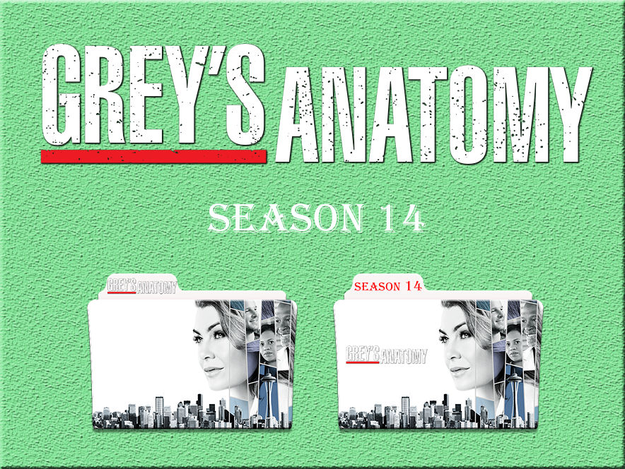 Grey's Anatomy Season 14 Icons by Aliciax16 on DeviantArt