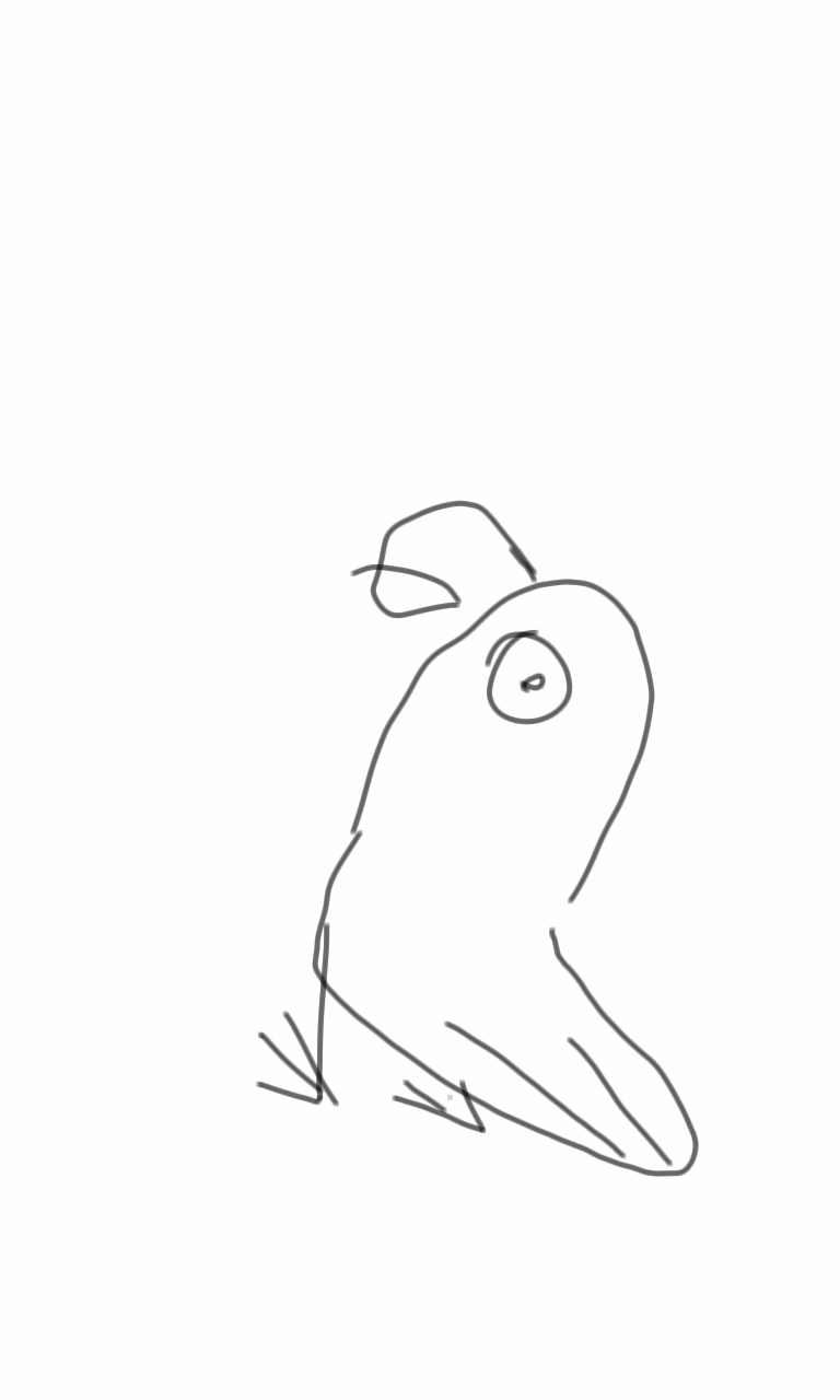 bird