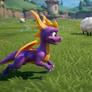 Spyro in Sheep's Clothing