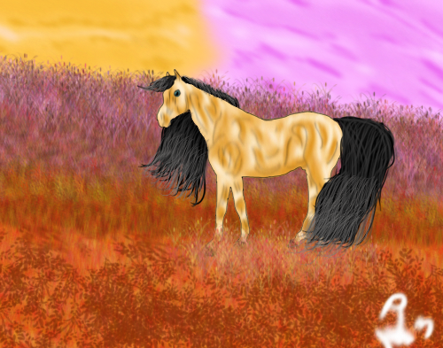 Sunset by starlightwillraise on DeviantArt