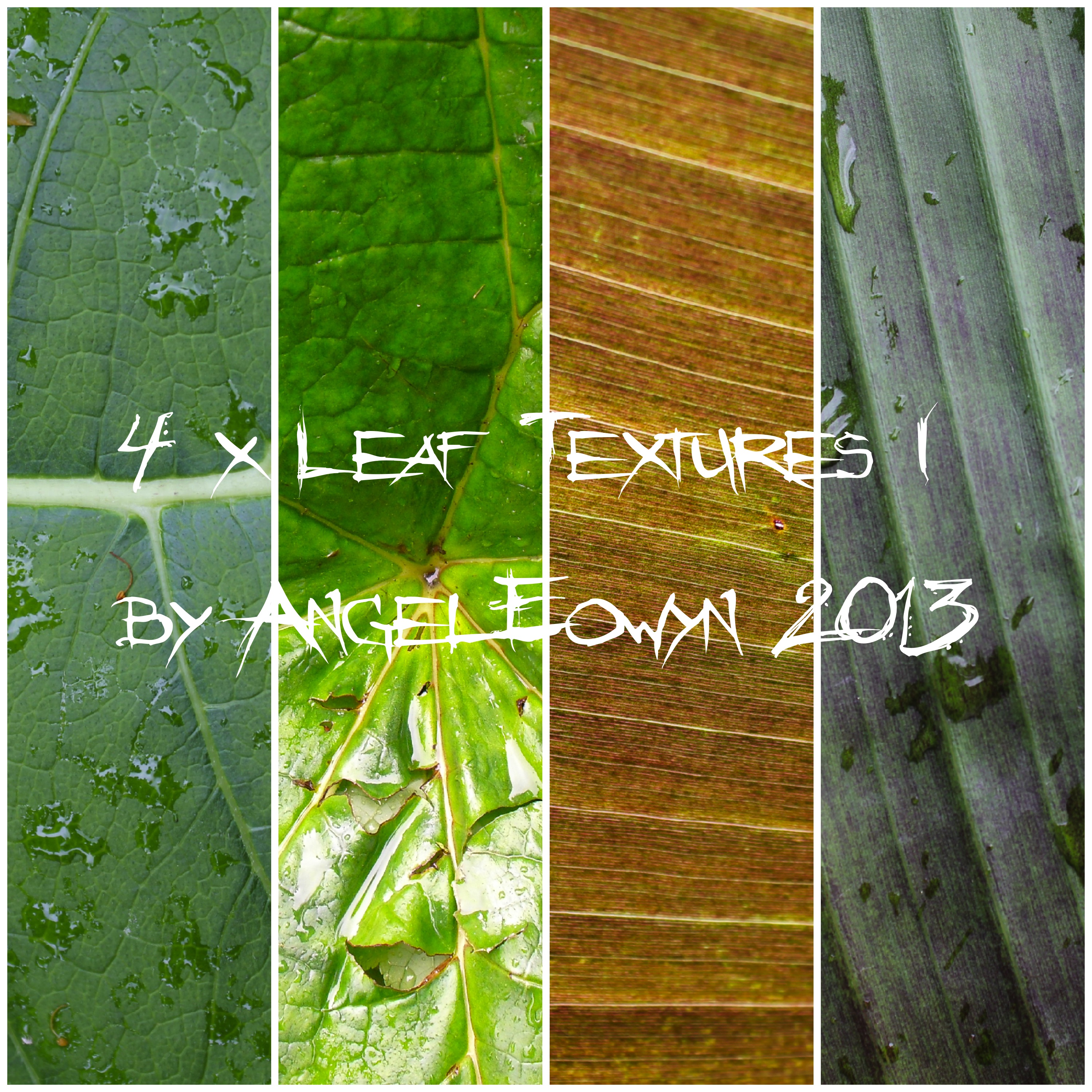 Leaf Texture Pack 1 by AngelEowyn on DeviantArt