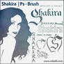 Shakira Brush Set
