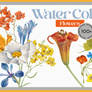 WATERCOLOR FLOWERS | 100+ TRANSPARENT PNGS