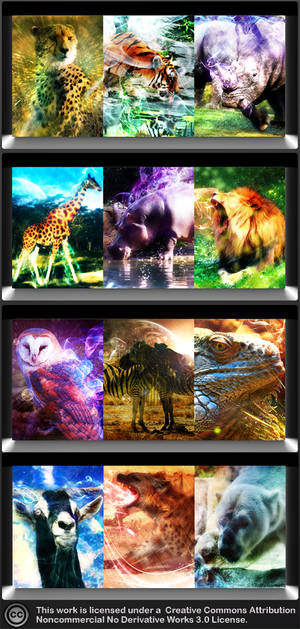 Samsung Corby Wildlife WP Pack