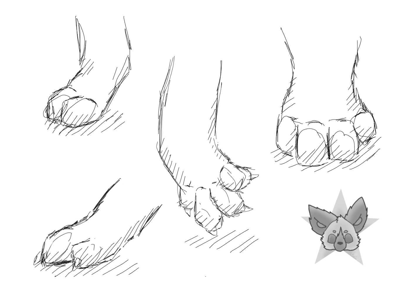 Croquis De Pattes De Loup By Azazty10aj On Deviantart