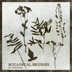 Botanical brushes