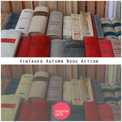 Vintaged Autumn Book Action