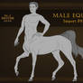 Male Equine IMPORT Template