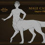 Male Canine IMPORT Template