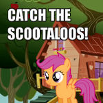 Catch the Scootaloos