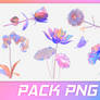 PACK PNG