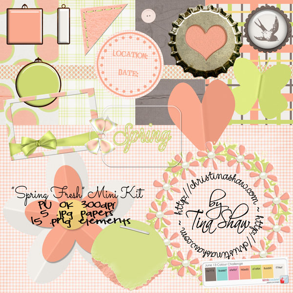 Tina Shaw - Scrap Matters 06-2013 Colour Challenge