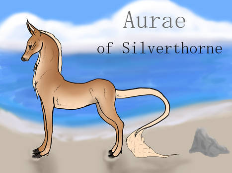 Aurae|Doe|Aspiring Firebringer