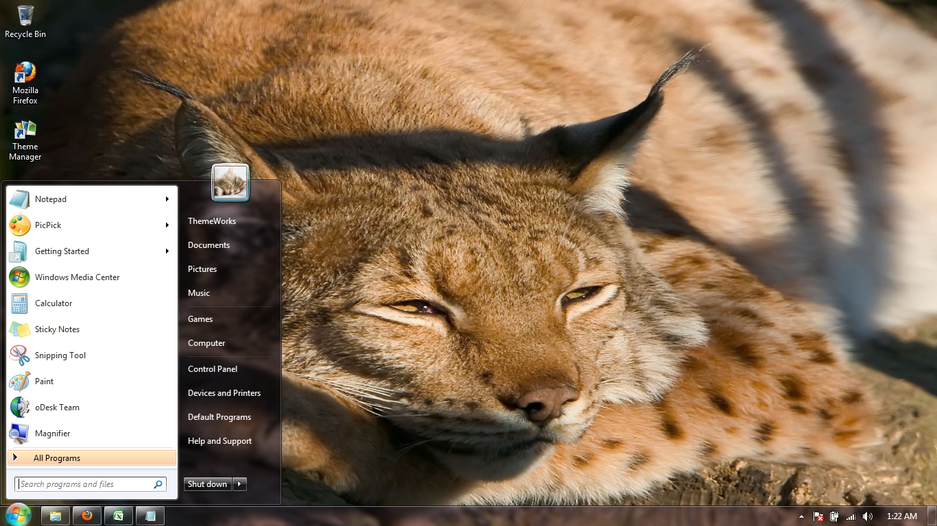 Wild-cats-6  Windows 7 theme