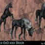 Dark Unicorns pack of 3