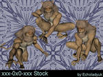 Lion Man pack of 3 by xxx-0x0-xxx