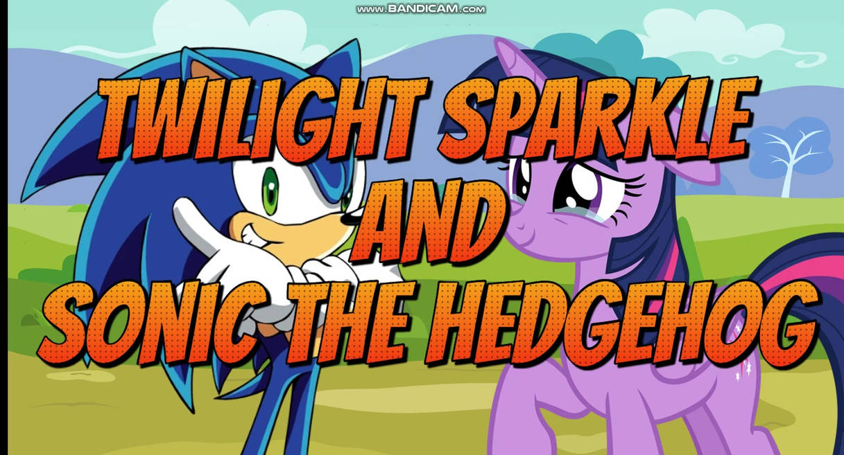 Twilight Sparkle And Sonic by Hyenari6296 on DeviantArt