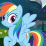 Twilight Sparkle And Rainbow Dash!