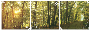 (f2u) Forest Divider 1 by daydream-doodle on DeviantArt