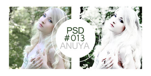 PSD#013 by Anuya