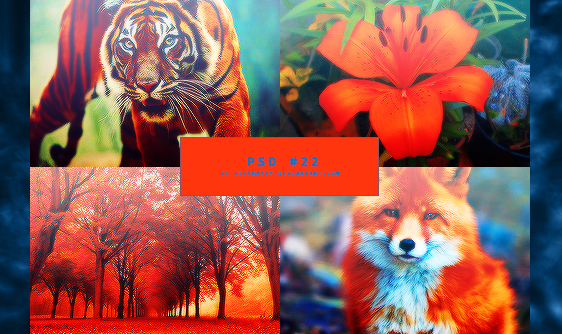 PSD #022 - Tiger Lily