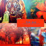 PSD #022 - Tiger Lily