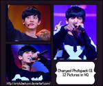 Chanyeol (EXO) Photopack O1