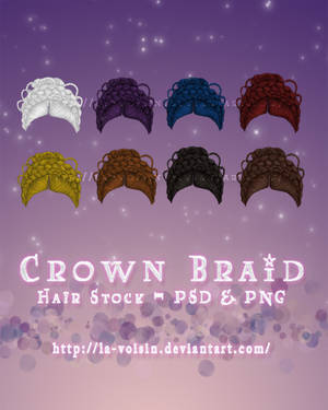 Crown Braid - Hair Stocks PSD  PNG