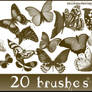 Butterfly Brushes