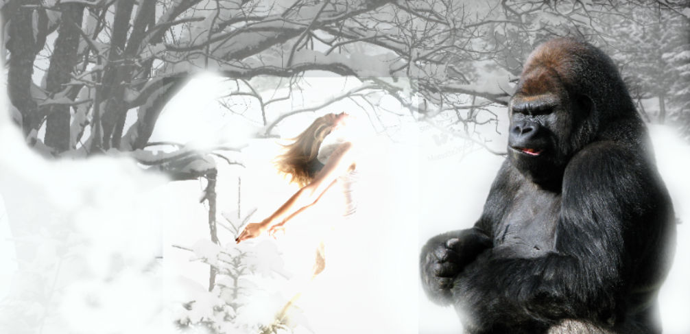 king kong and the snow by rocheleheart10 king kong and the snow by rocheleheart10