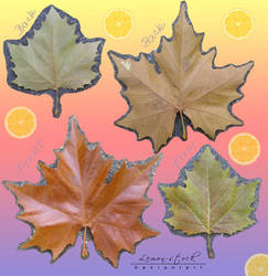 Leaf Pack1